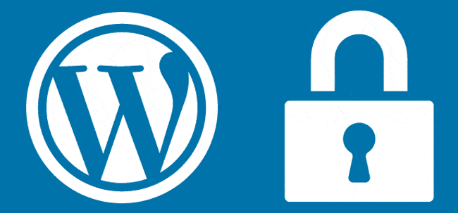 Seguridad WordPress Seguridad WordPress