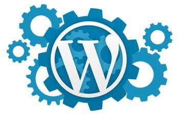 Wordpress Wordpress
