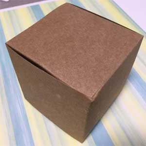 Cajas Kraft