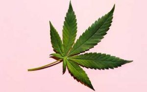 Adiccioes Cannabis