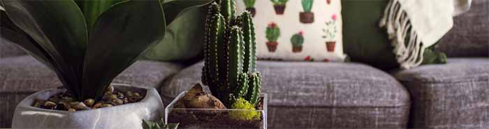 Tendencias de interiorismo 2019 Tendencias de interiorismo 2019