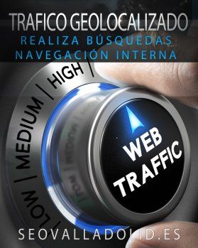 Trafico web Geolocalizado Local Search