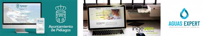 Desarrollo sitios web Desarrollo sitios web