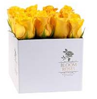Rosas amarillas