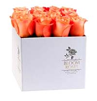 Rosas naranjas