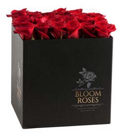Rosas rojas