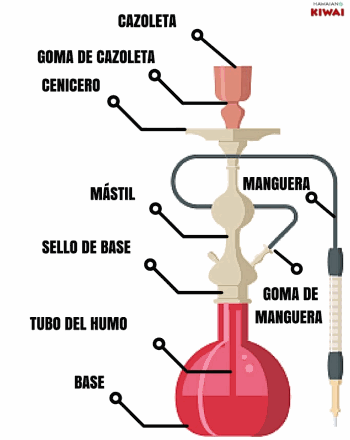 Partes de una cachimba