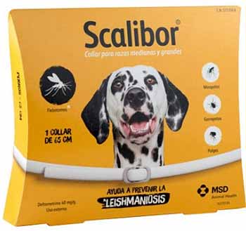 Collares perros Scalibur