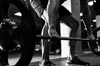 Productos para musculación