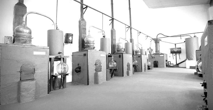 Alambiques Herencia de Cádiz Alambiques Herencia de Cádiz