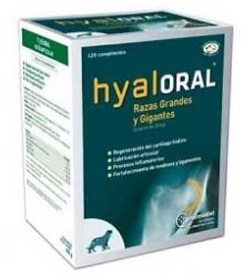 Condoprotectores Hyaloral