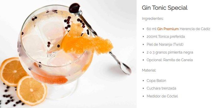 Gin Tonic Especial