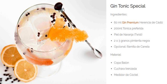 Gin Tonic Especial