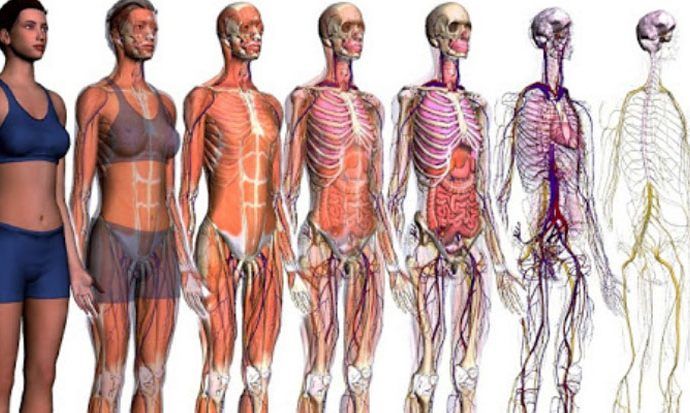 Técnico Superior Anatomía Patológica