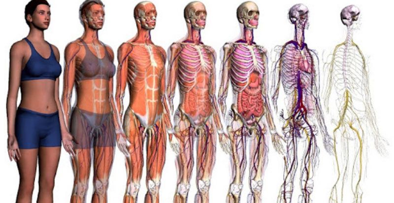 Técnico Superior Anatomía Patológica