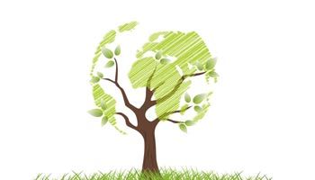 Destrucción documentos ecológica