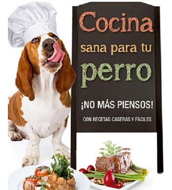 Alimentación para perros