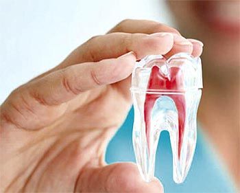 Endodoncia Santander