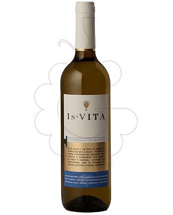 Vino in Vita 2019