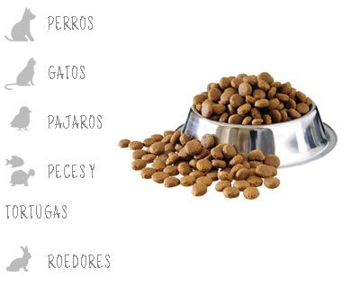 Ventajas buena alimentación mascotas