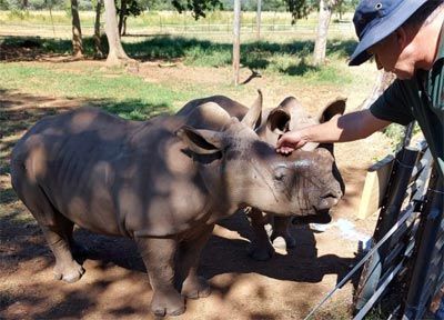 Cercos eléctricos para zoológicos