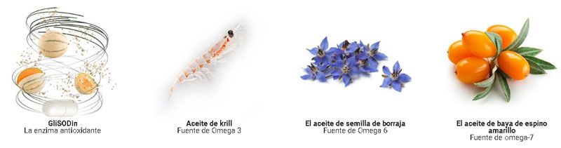 Complementos para envejecer lento Complementos para envejecer lento