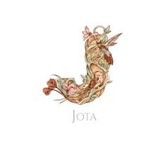 Estudio Jota