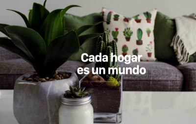 Identidad verbal