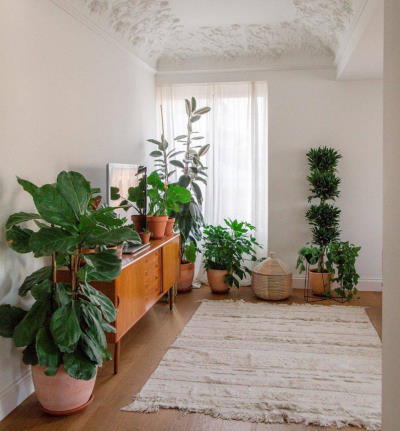 Beneficios de contratar decoradores profesionales