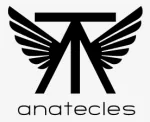 Inmobiliaria Ana Tecles