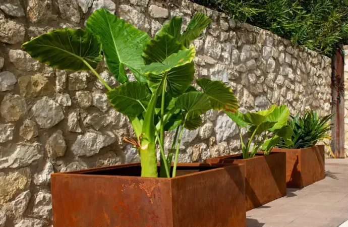 Jardines vanguardistas