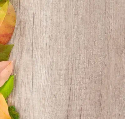 Madera de arce blanco