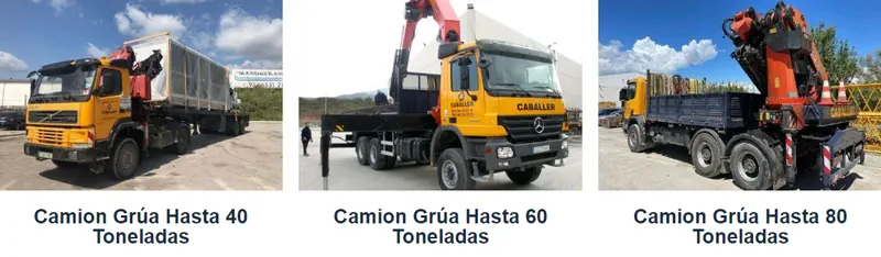 Tipos de camión grua Caballer