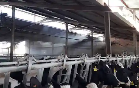Sistema de nebulización
